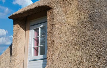 Ruscote thatch roof disadvantages